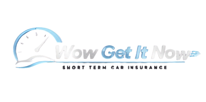 WowGetItNow Logo